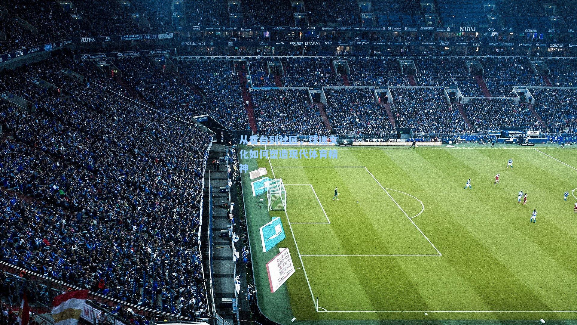 从看台到社区,球迷文化如何塑造现代体育精神