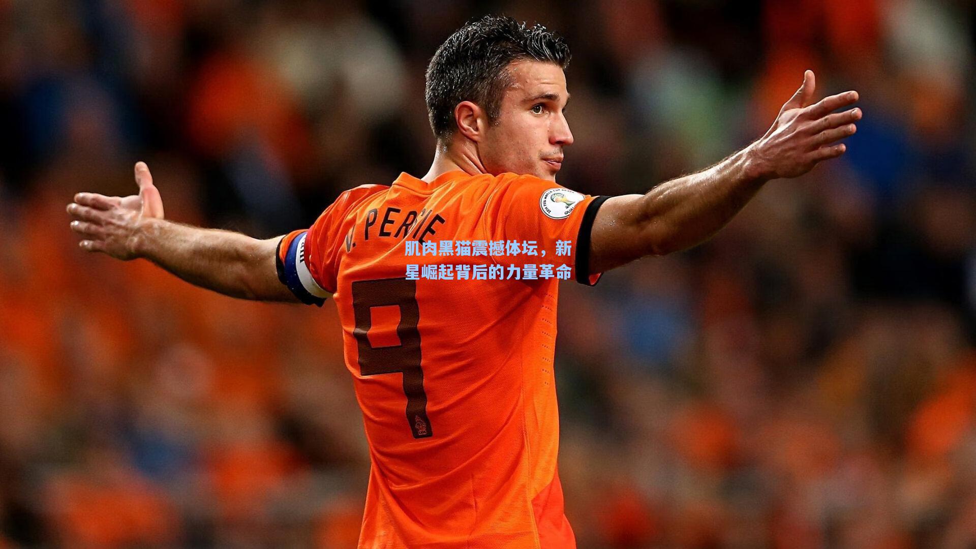 肌肉黑猫震撼体坛，新星崛起背后的力量革命